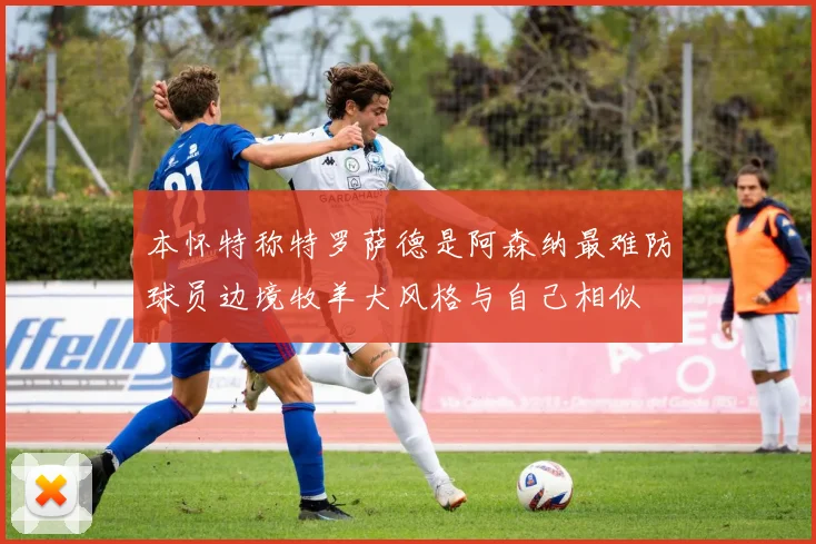 本怀特称特罗萨德是阿森纳最难防球员边境牧羊犬风格与自己相似